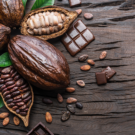 Cocoa Beans Quality