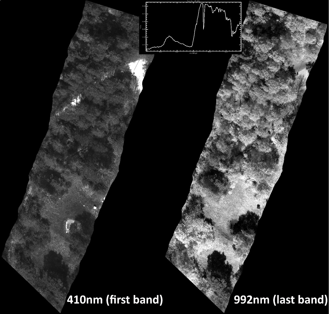 First and last band of a Mjolnir V-1240 hyperspectral cube and example radiance spectrum from vegetation (single-pixel/band, no binning).
